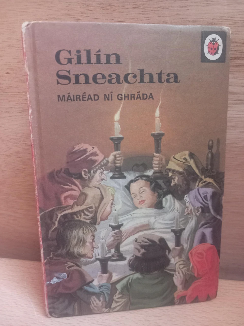 Máire Ní Ghráda (Aistritheoir) - Ladybird - Gilín Sneachta (Vintage HB ) As Gaeilge