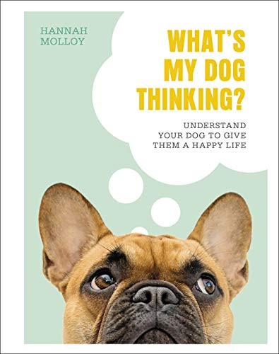 Hannah Molloy / What's My Dog Thinking? (Coffee Table Book)