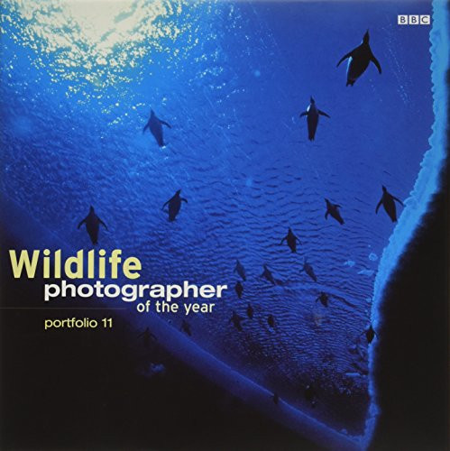 Anna Levin / Wildlife Photographer of the Year Portfolio 11 (Coffee Table Book)