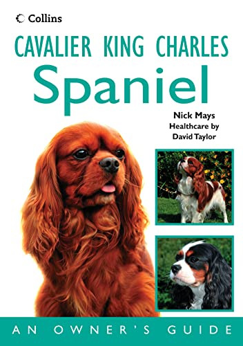 Nick Mays / Cavalier King Charles Spaniel (Large Paperback)