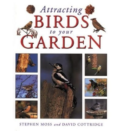 Stephen Moss / How to Attract Birds to Garden (Coffee Table Book)