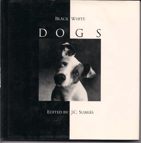 Jean-Claude Suares / Black & White Cats (Coffee Table Book)