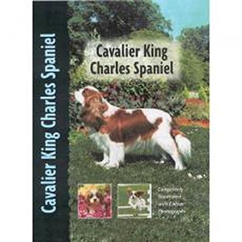 Juliette Cunliffe / Cavalier King Charles Spaniel (Coffee Table Book)