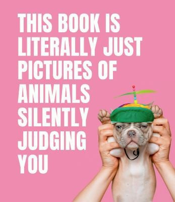 Smith Street Books / This Book is Literally Just Pictures of Animals Silently Judging You (Hardback)