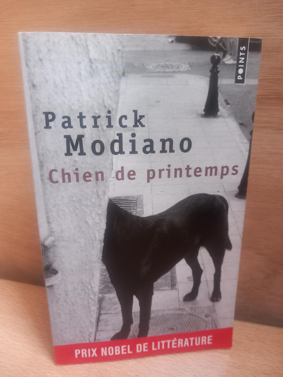 Patrick Modiano - Chien de Printemps - PB ( French Language Edition)