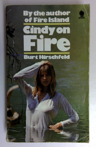 Burt Hirschfeld / Cindy on Fire (Vintage Paperback)