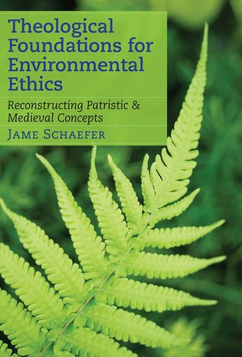 Jame Schaefer / Theological Foundations for Environmental Ethics (Large Paperback)