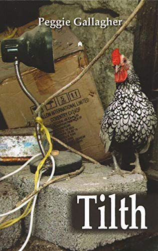 Peggie Gallagher / Tilth (Large Paperback)