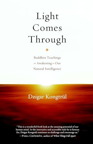 Dzigar Kongtrul / Light Comes Through (Hardback)