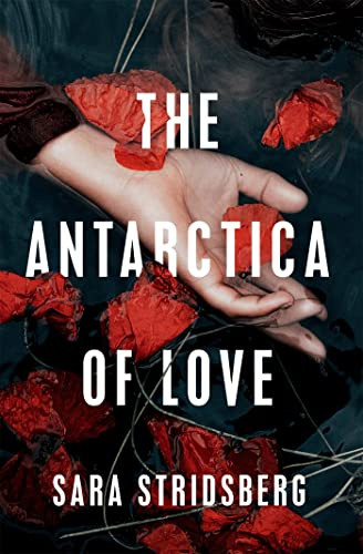 Sara Stridsberg / The Antarctica of Love (Hardback)