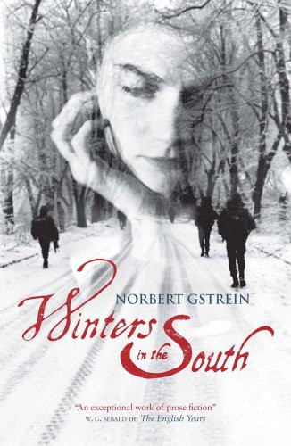 Norbert Gstrein / Winters in the South (Hardback)
