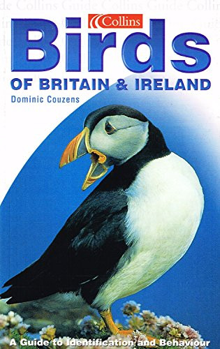 Dominic Couzens / Birds of Britain and Ireland (Large Paperback)