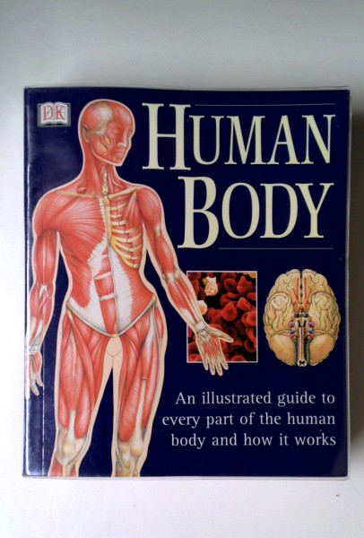 Dk / Human Body (Large Paperback)