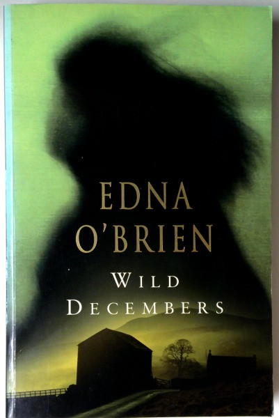 Enda O'Brien / Wild Decembers (Large Paperback)