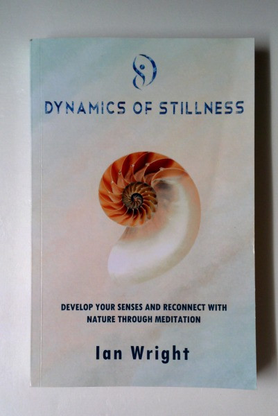Ian Wright / Dynamics of Stillness (Large Paperback)