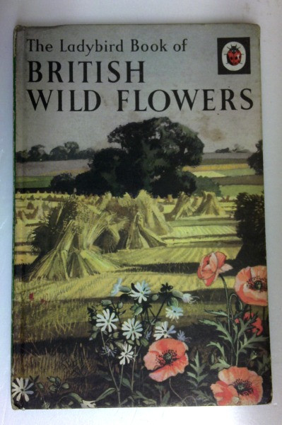 British Wild Flowers (Vintage Ladybird)