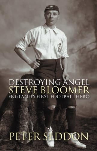 Peter Seddon / Destroying Angel (Large Paperback)