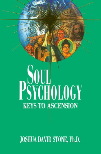 Joshua David Stone / Soul Psychology (Large Paperback)