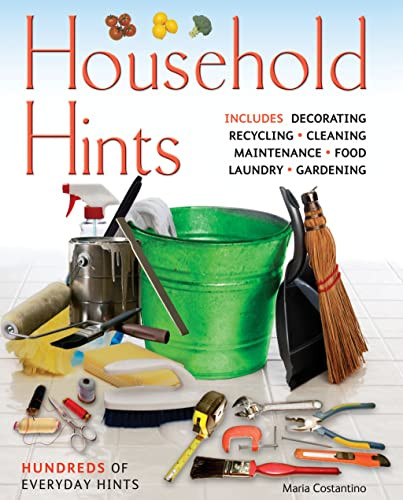 Maria Costantino / Household Hints (Large Paperback)