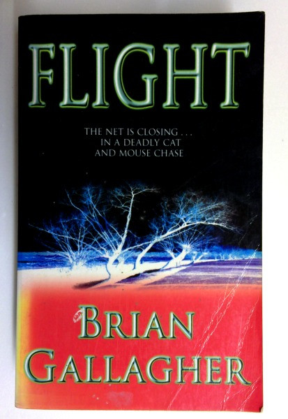 Brian Gallagher / Flight (Older Edition Small Paperback)
