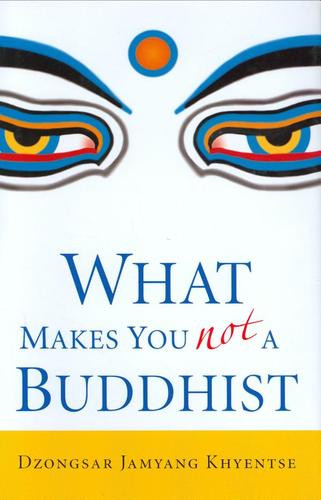 Dzongsar Jamyang Khyentse / What makes you not a Buddhist (Large Paperback)