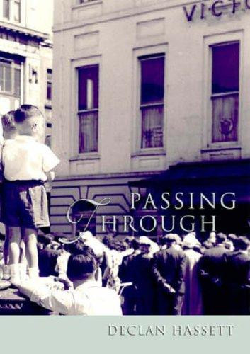 Declan Hassett / Passing through (Large Paperback)
