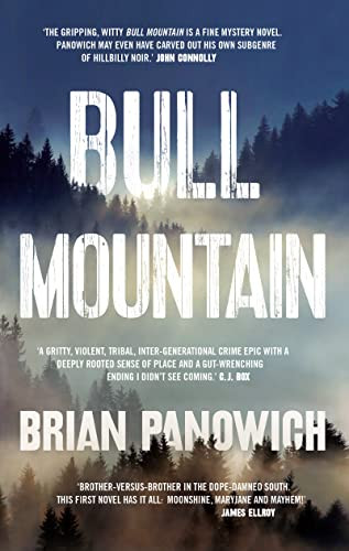 Brian Panowich / Bull Mountain (Hardback)