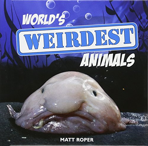 Matt Roper / World's Weirdest Animals (Hardback)