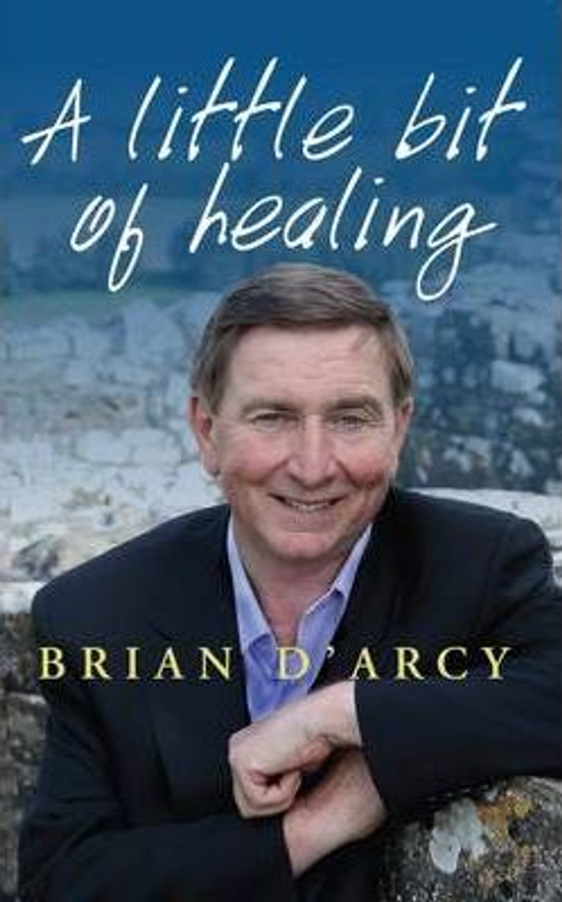 Brian D'Arcy / A Little Bit of Healing (Large Paperback)