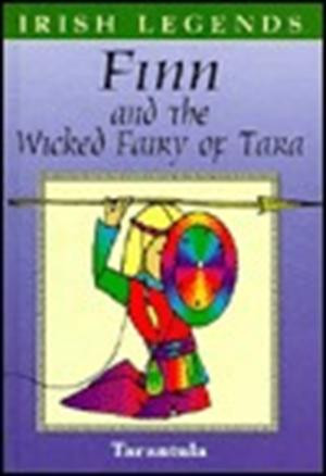 Irish legends: Legends Finn and the Wicked Fairy of Tara