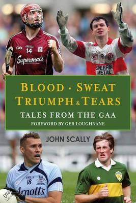 John Scally / Blood Sweat Triumph and Tears : Tales from the GAA (Large Paperback)