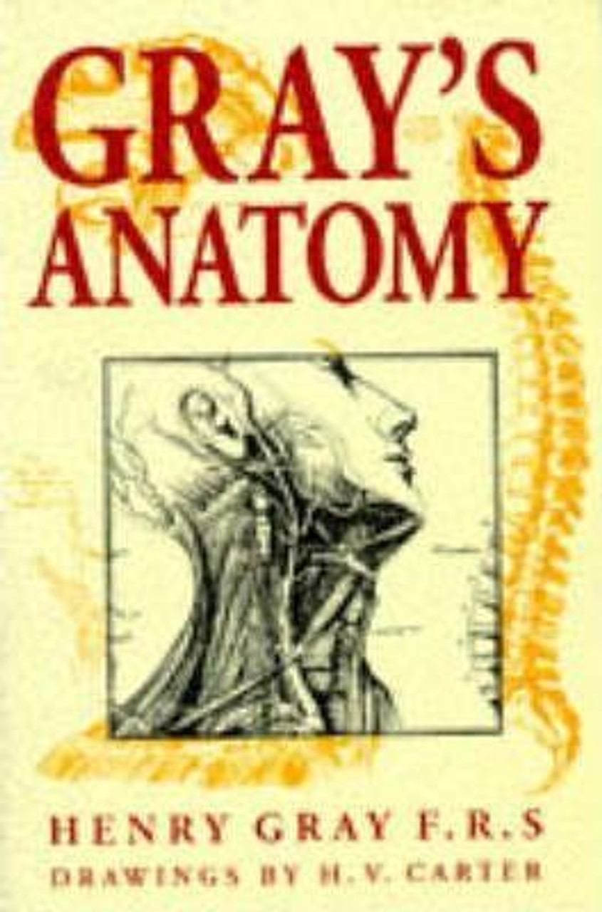 Henry Gray / Gray's Anatomy
