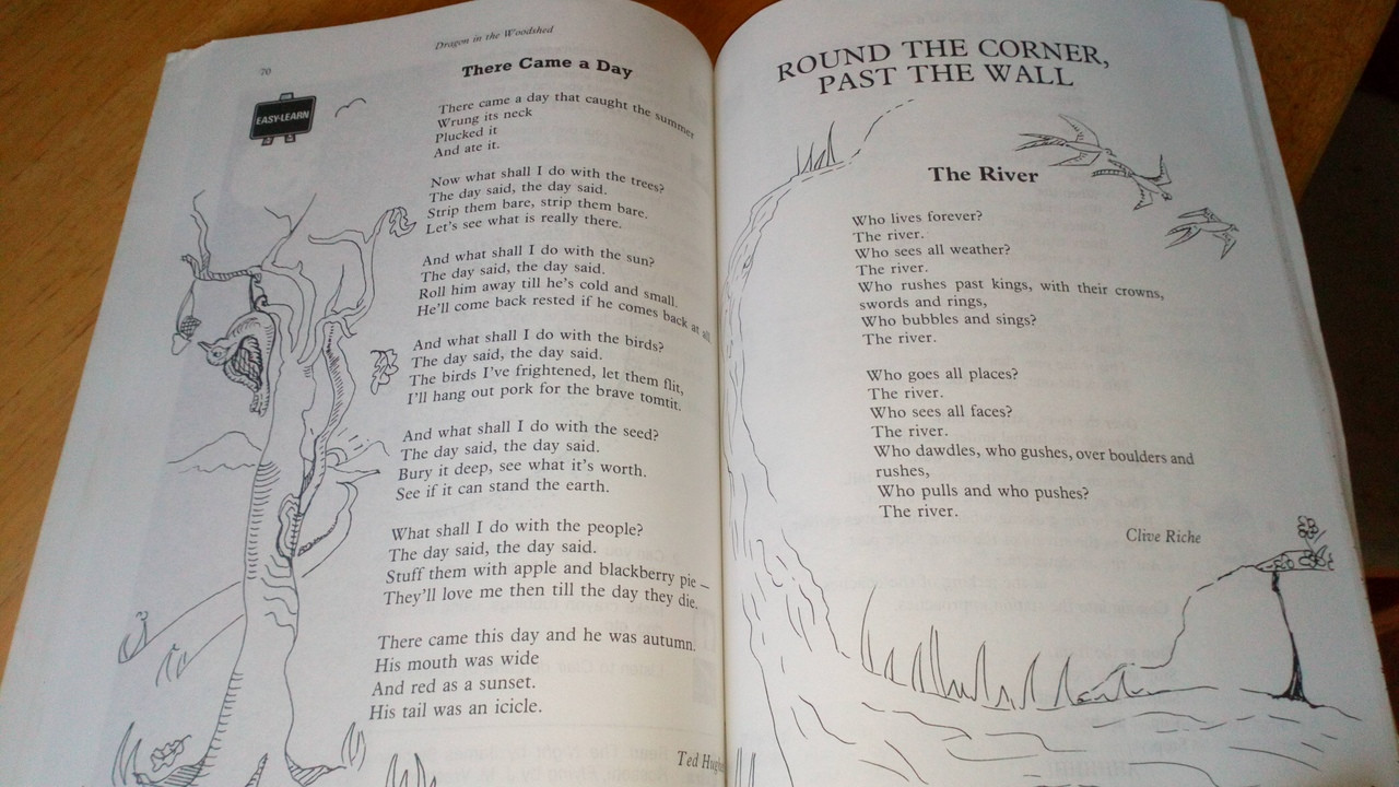 John O'Leary - Dragon in the Woodshed - Poetry for Third and Fourth Classes PB Folens  1987