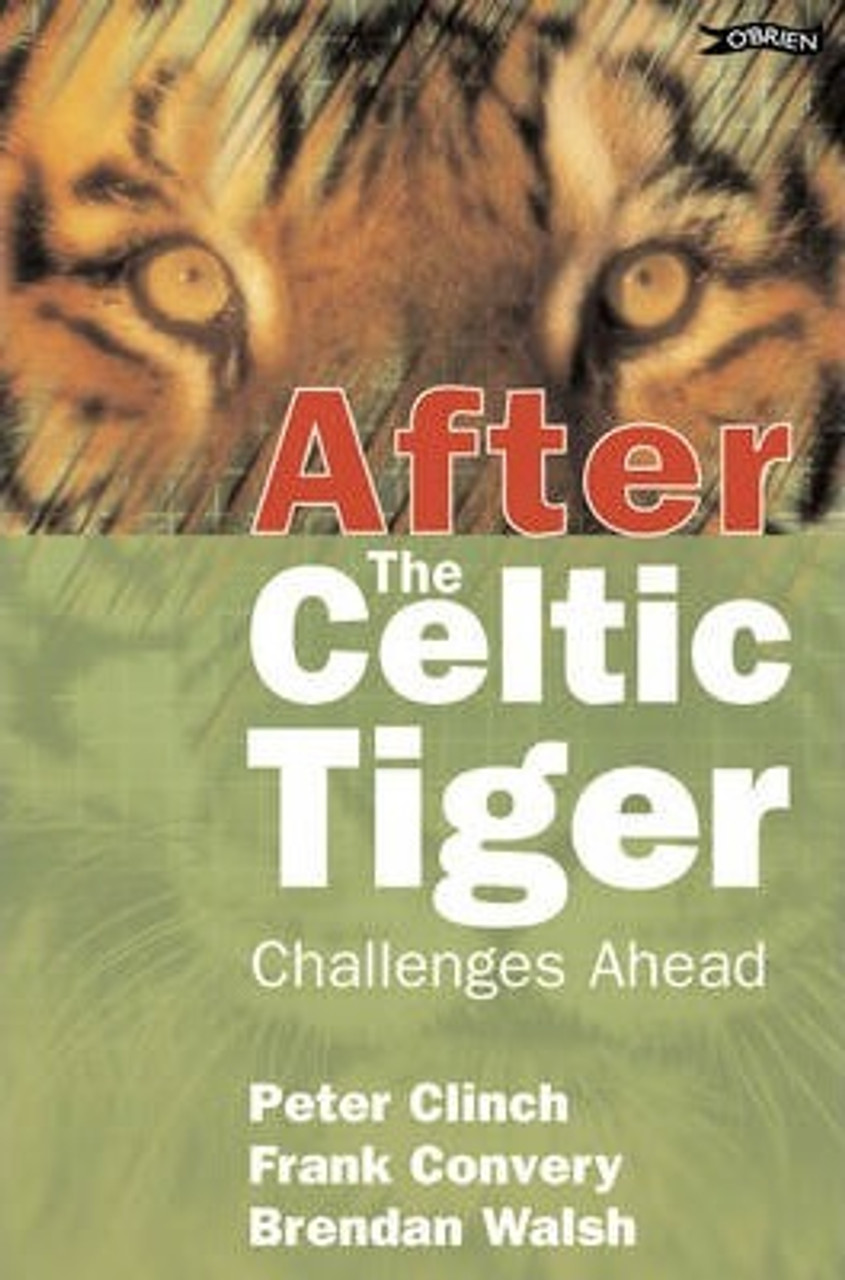 Peter Clinch / After the Celtic Tiger : Challenges Ahead (Large Paperback)