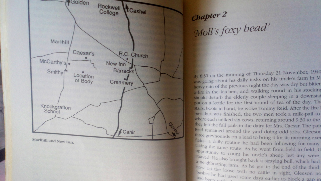 Marcus Bourke- Murder at  Marlhill : Was Harry Gleeson Innocent ? - PB -Tipperary  Murder