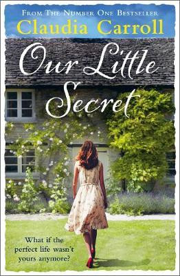 Claudia Carroll / Our Little Secret