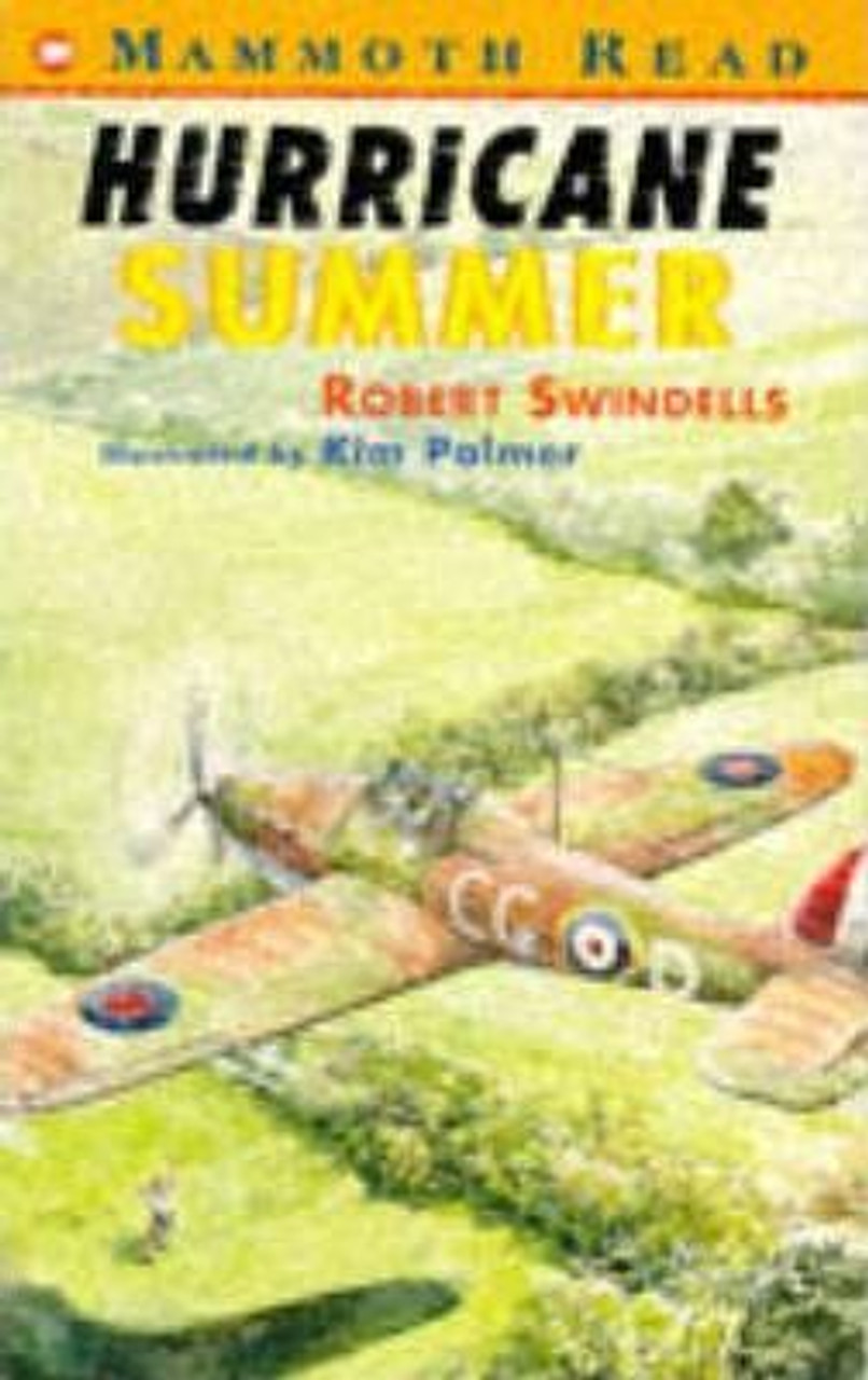 Robert Swindells / Hurricane Summer