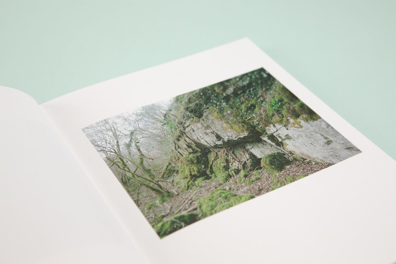 Lorraine Tuck - The Whistle Blowing - Nature Photography  -Limited Edition - Galway Clifden Rail Line - Conamara
