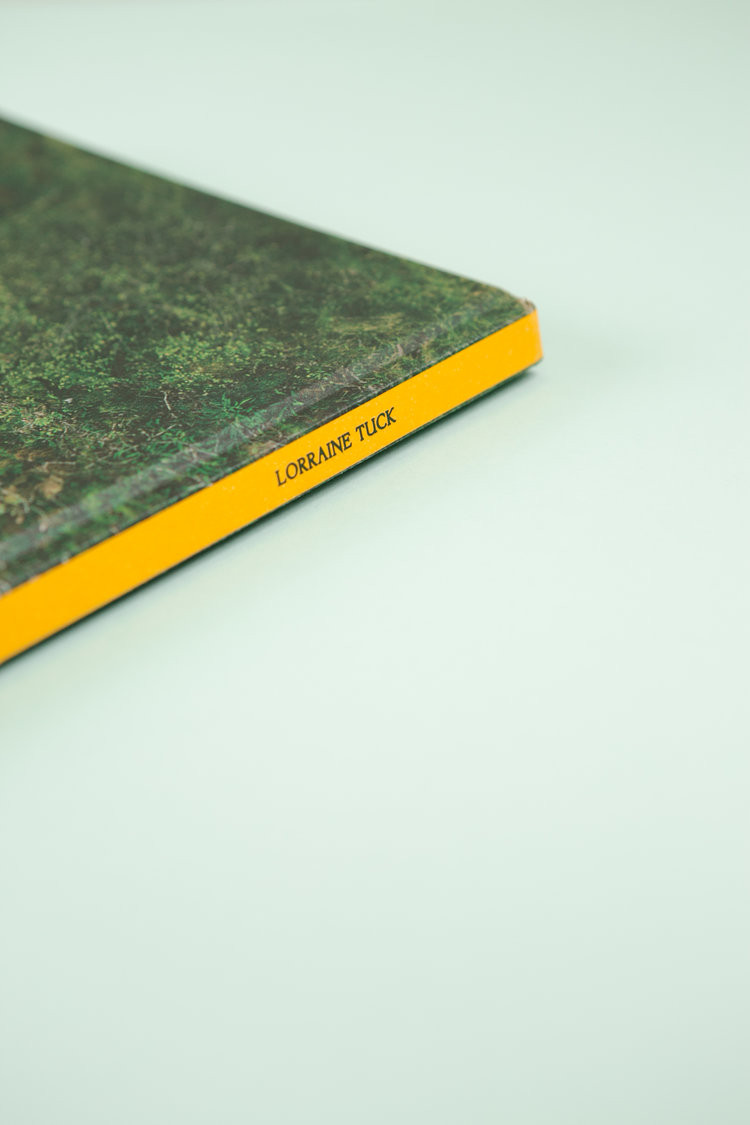 Lorraine Tuck - The Whistle Blowing - Nature Photography  -Limited Edition - Galway Clifden Rail Line - Conamara