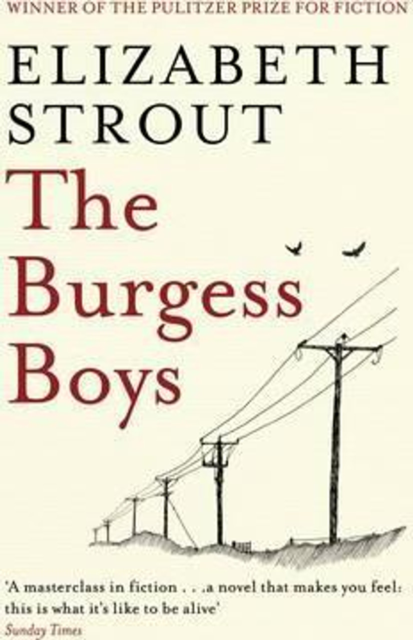 Elizabeth Strout / The Burgess Boys