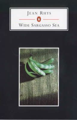 Jean Rhys / Wide Sargasso Sea