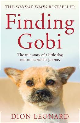 Dion Leonard / Finding Gobi