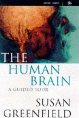 Susan Greenfield / The Human Brain : A Guided Tour (Hardback)
