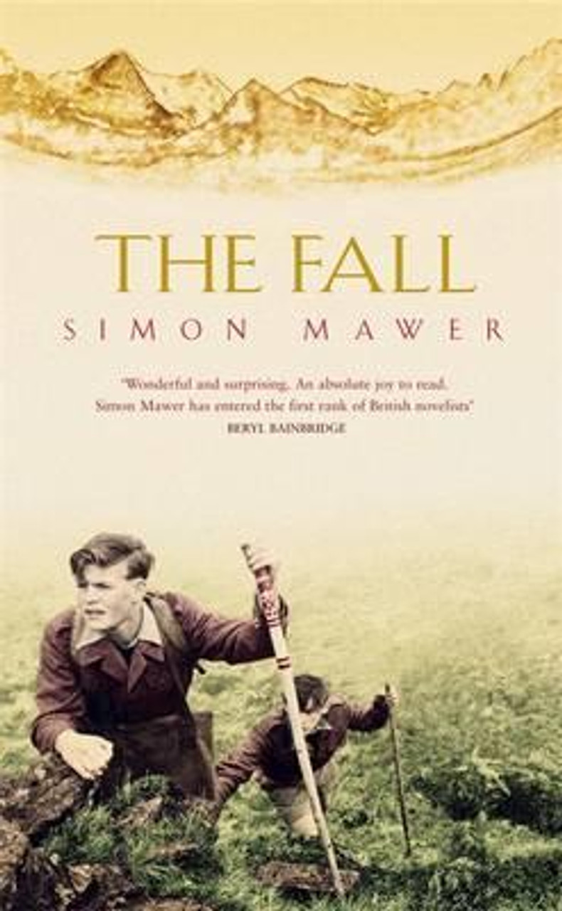 Simon Mawer / The Fall (Hardback)
