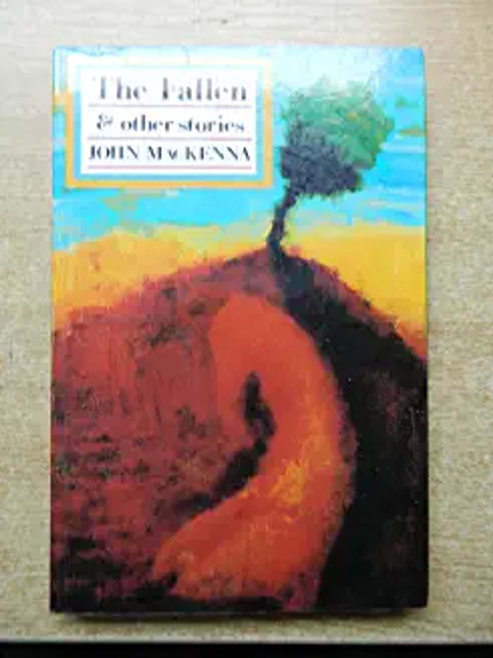 John McKenna / The Fallen (Large Paperback)