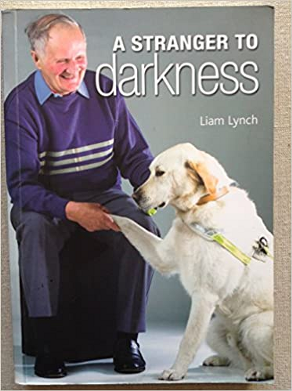 Liam Lynch / A Stranger To Darkness (Large Paperback)