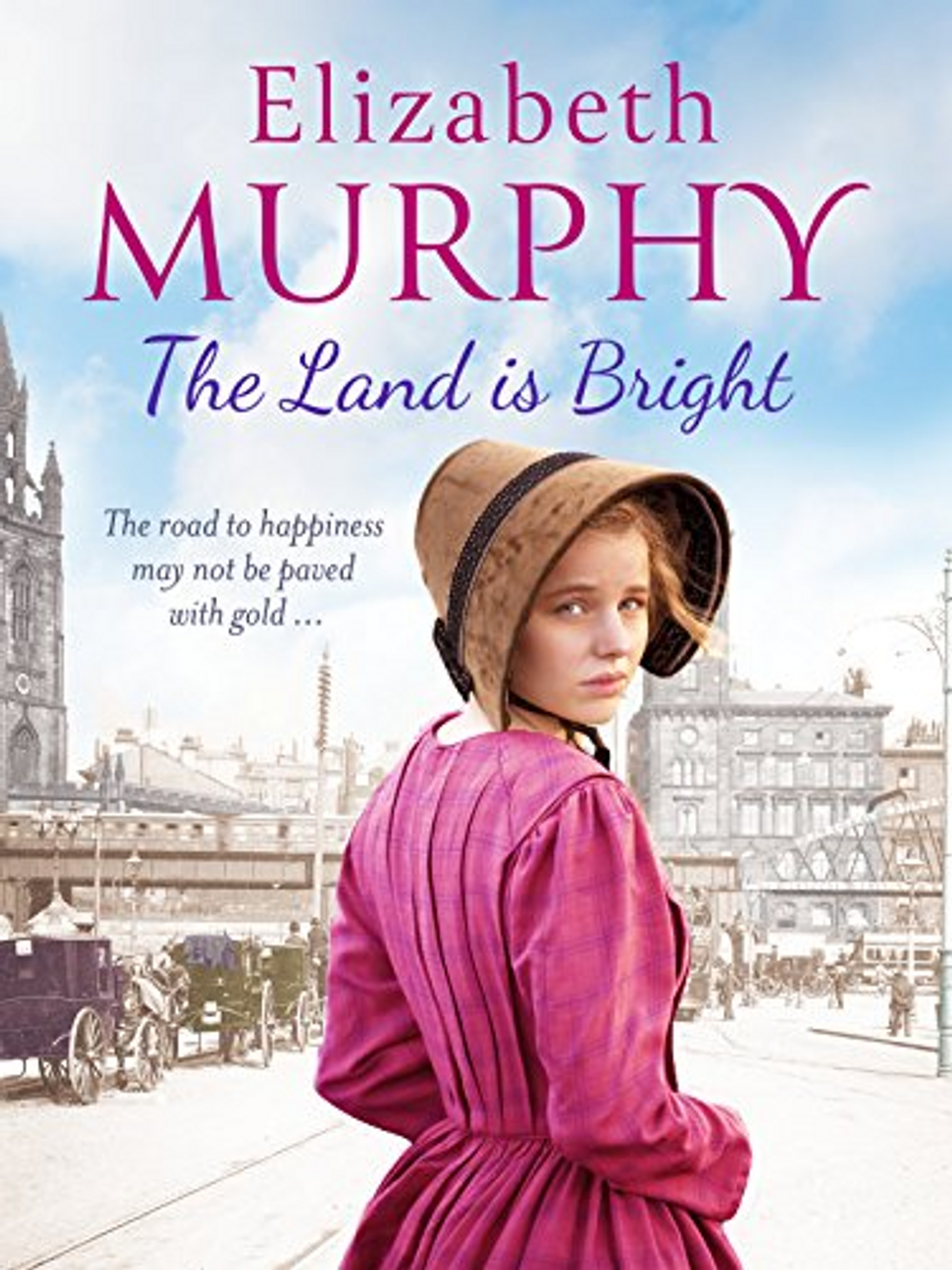 Elizabeth Murphy / The Land is Bright