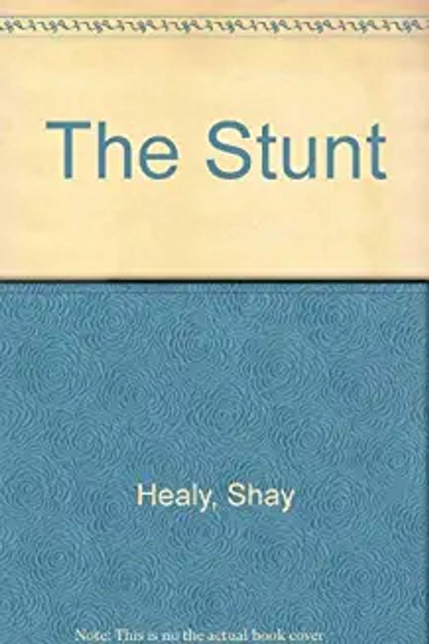 Shay Healy / The Stunt