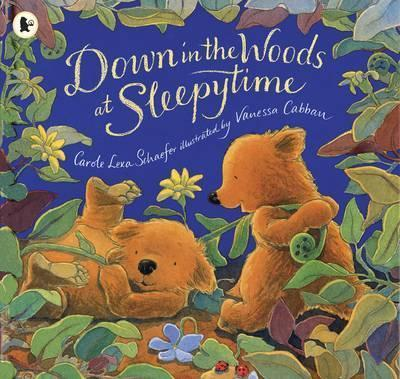 Carole Lexa Schaefer / Down in the Woods at Sleepytime (Children's Picture Book)