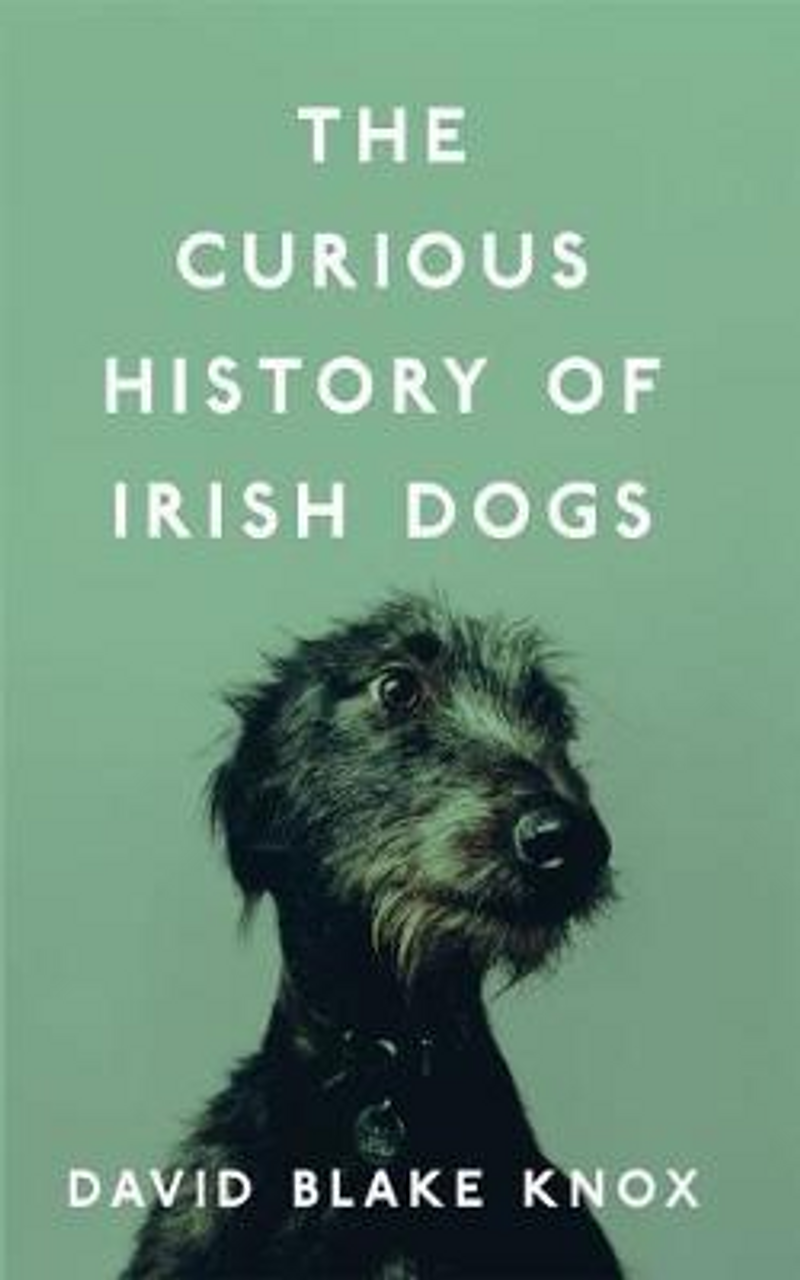 David Blake Knox / The Curious History of Irish Dogs (Large Paperback)